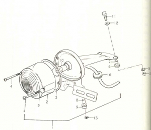 20-Takavalo