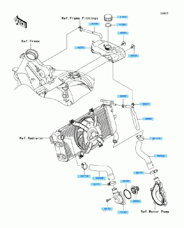 600 cc