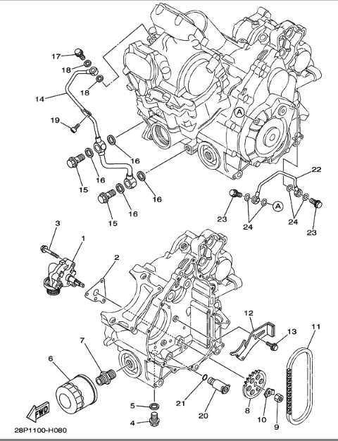 550 cc