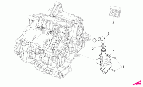 1000 cc