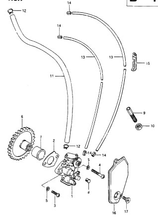 250 cc