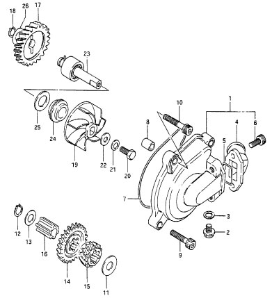 250 cc