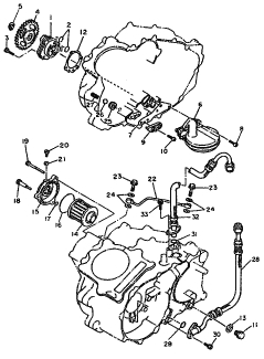 600 cc
