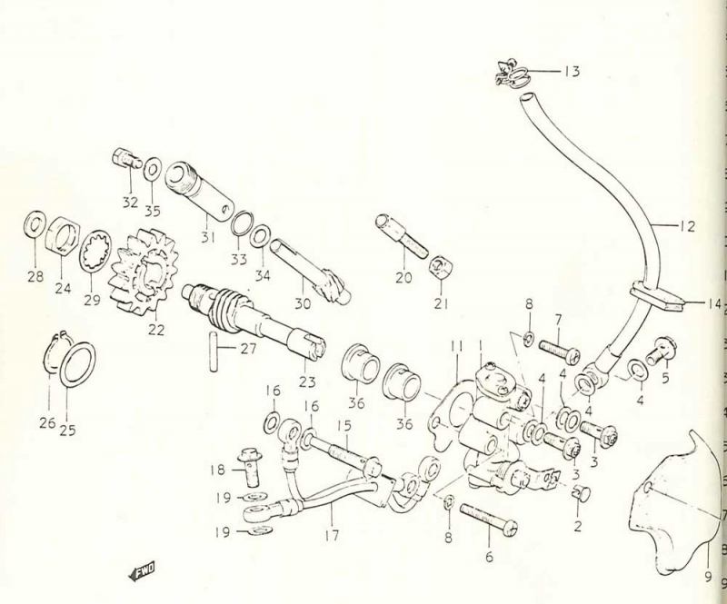 250 cc