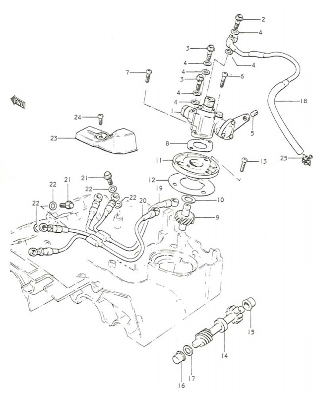 250 cc
