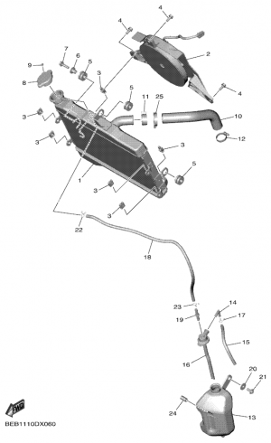 Jäähdytin ja letkut