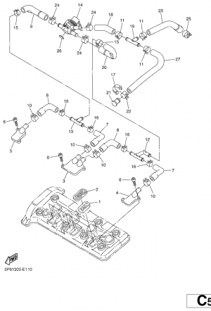 Air induction system