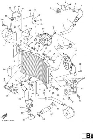 Jäähdytin ja letkut