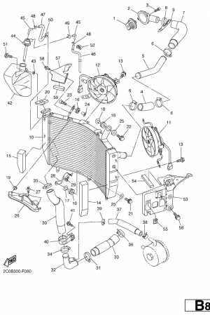 Jäähdytin ja letkut